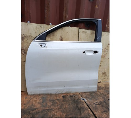 Дверь передняя левая
