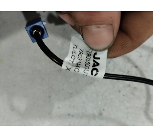 Антенна (плавник)