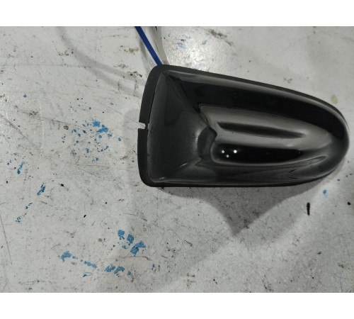 Антенна (плавник)