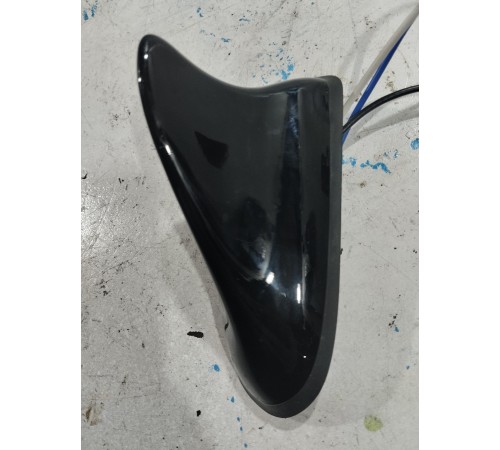 Антенна (плавник)