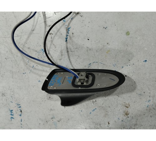 Антенна (плавник)