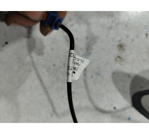 Антенна (плавник)