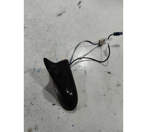 Антенна (плавник)