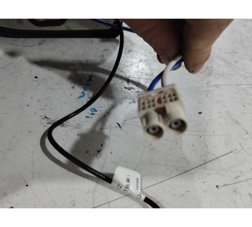 Антенна (плавник)