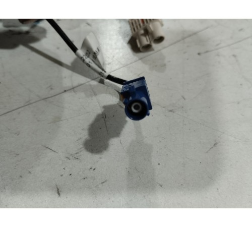 Антенна (плавник)