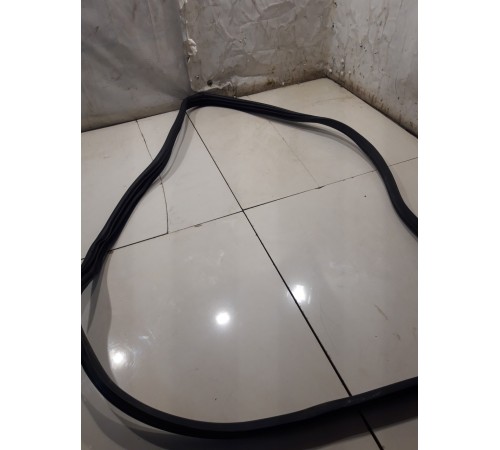 Уплотнитель двери(задний левый)