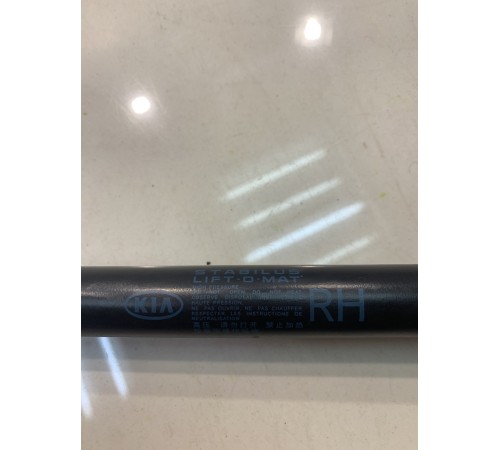 Амортизатор крышки багажника (правый)