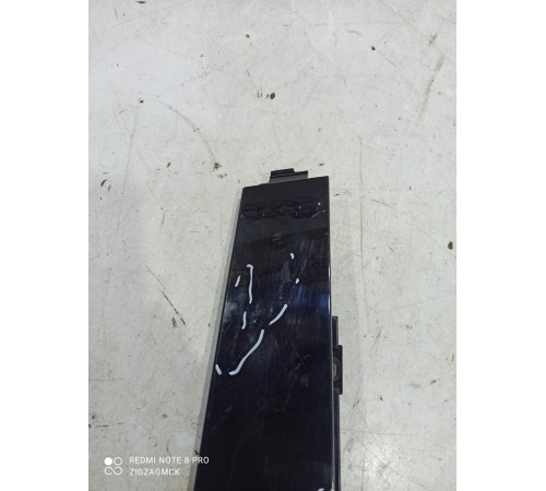 Накладка двери (задняя левая)