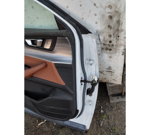 Дверь передняя левая