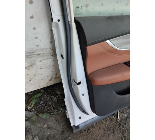 Дверь передняя левая