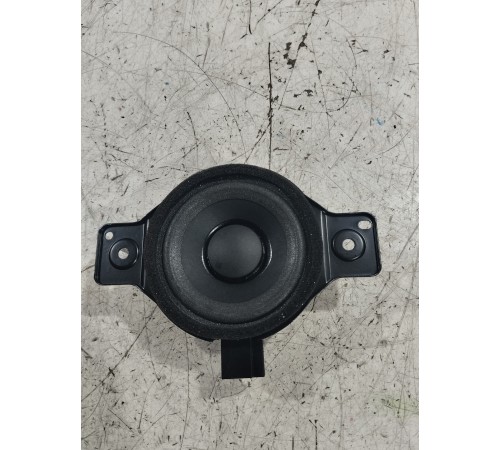 Динамик задний