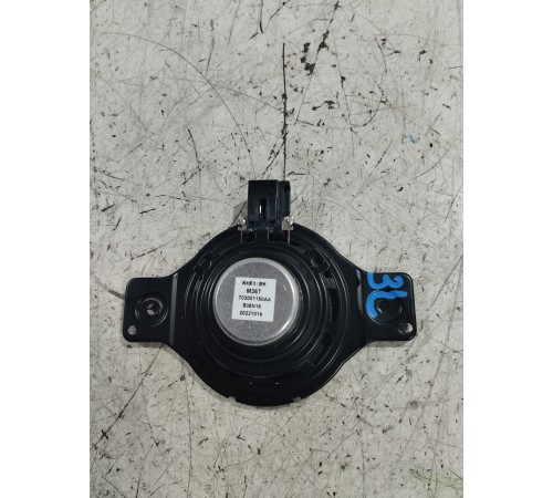 Динамик задний