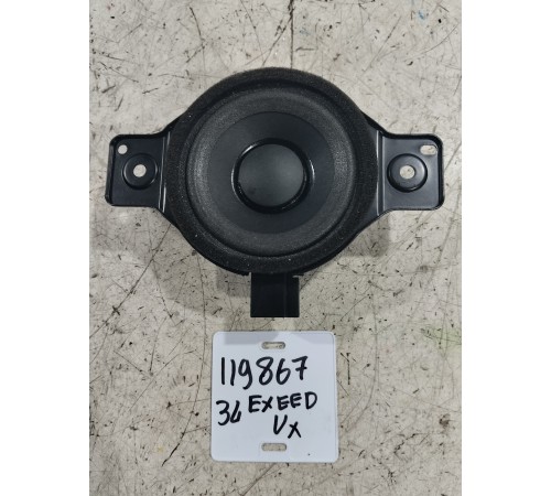 Динамик задний