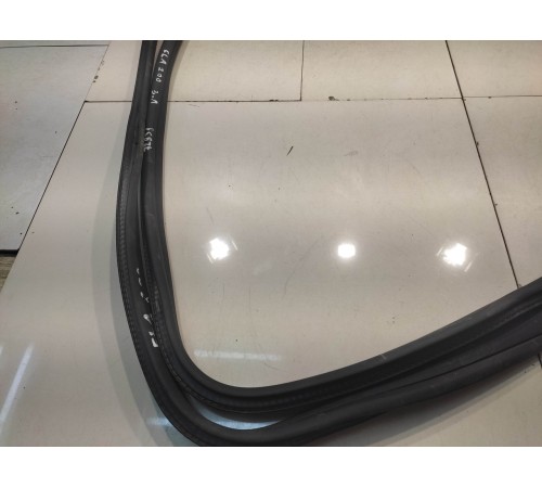 Уплотнитель двери (задний, левый)