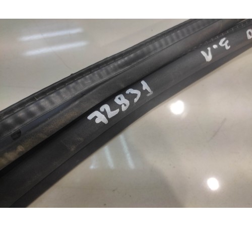 Уплотнитель двери (задний, левый)