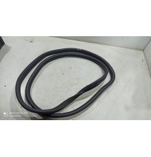 Уплотнитель двери(задний правый)