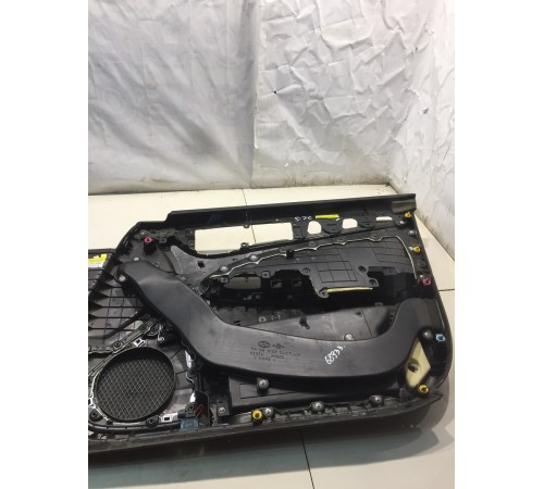 Обшивка двери (передняя, левая)