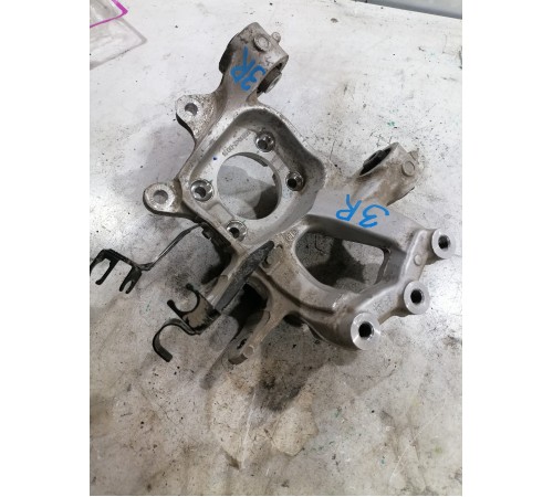 Кулак задний правый, цапфа