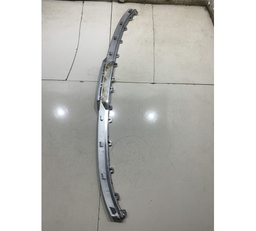 Молдинг решетки радиатора