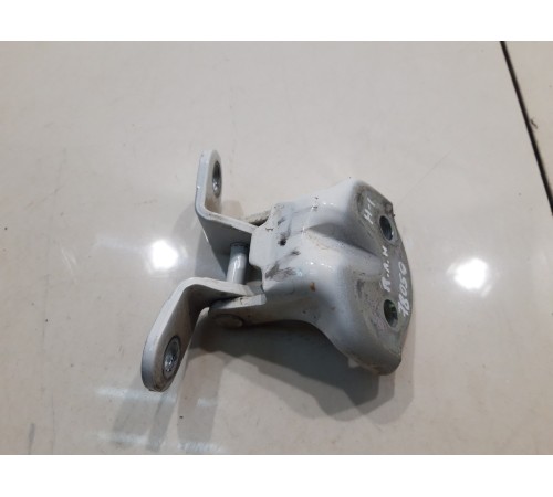 Петля двери (передняя, левая, нижняя)