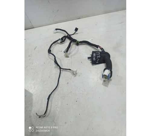 Электропроводка двери (передняя правая)