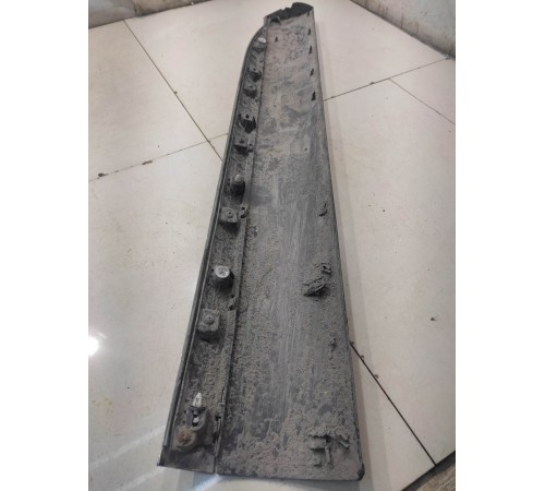 Молдинг двери (передний, левый)