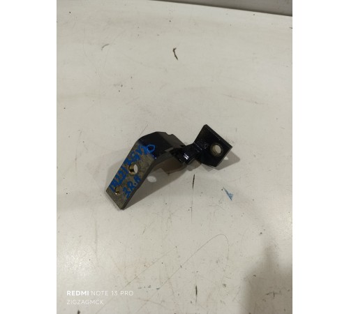 Петля двери задняя правая нижняя