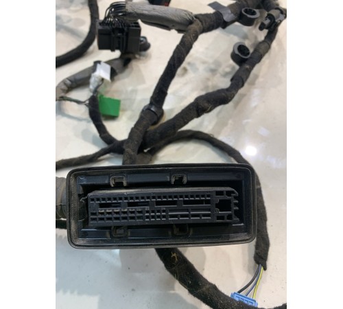 Электропроводка двери (передняя, левая)