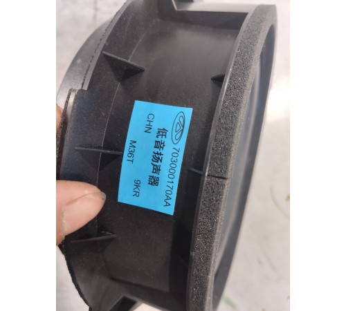 Динамик двери передний левый