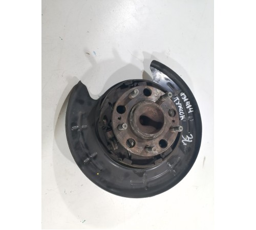 Ступица задняя левая с кожухом