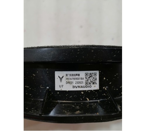 Динамик двери