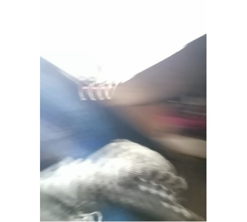 Комплект колес 245/50 R20 зима