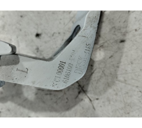 Петля двери(передняя левая нижняя)