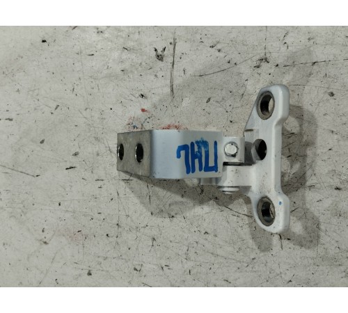 Петля двери(передняя левая нижняя)