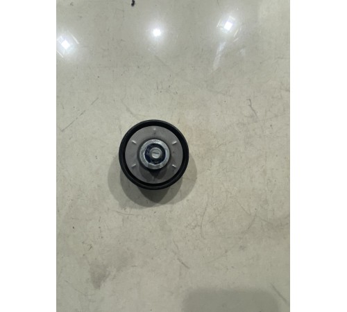 Ролик натяжителя