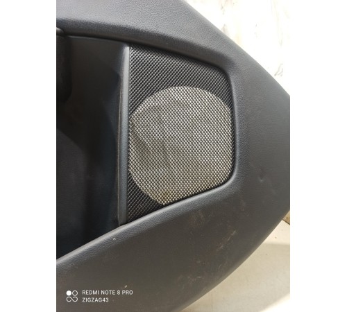 Обшивка двери (задняя левая)