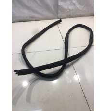 Уплотнитель двери (задний, левый)