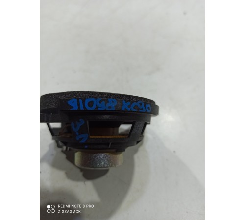 Динамик двери (задний левый)