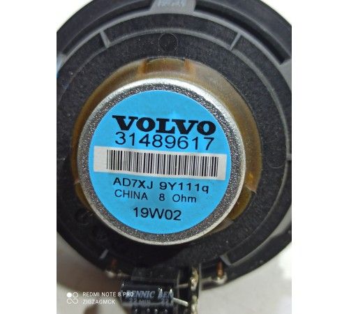 Динамик двери (задний левый)