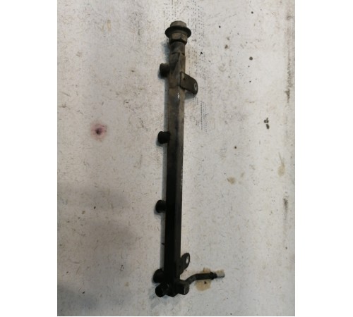 Рейка топливная (рампа)