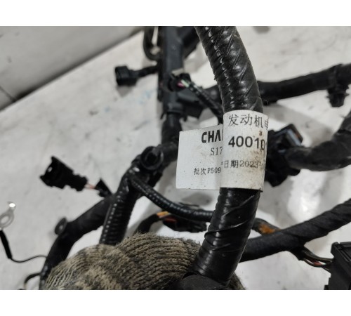 Электропроводка двигателя