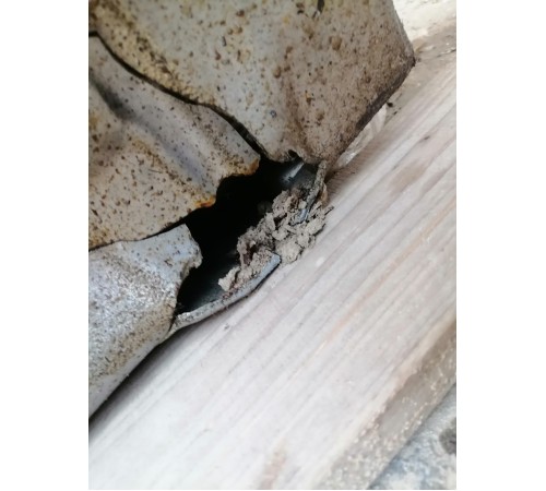 Двигатель в сборе (ДВС)