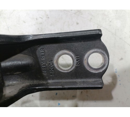 Петля двери задняя правая нижняя