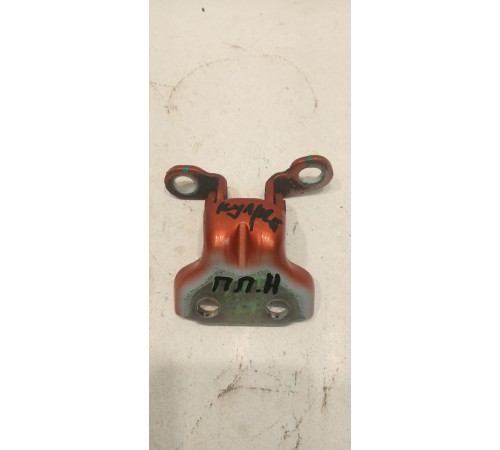 Петля двери передней правой нижняя