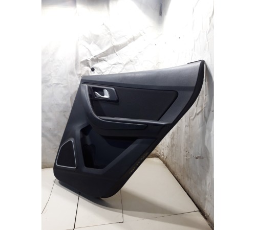 Обшивка двери (задняя правая)