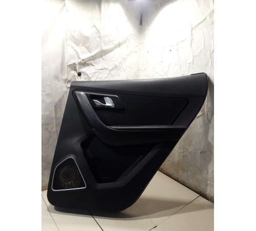 Обшивка двери (задняя правая)