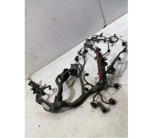 Проводка двигателя, подкапотная