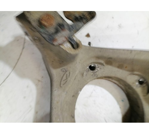 Кулак задний правый