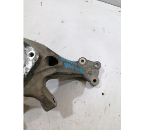 Кулак задний правый