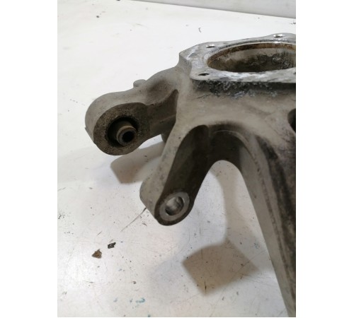 Кулак задний правый